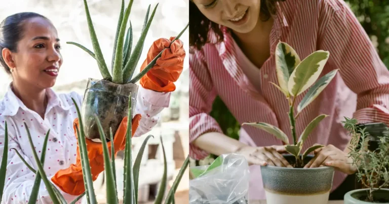 20+ Cute Gardener Outfit Ideas You’ll Love to Wear This Year