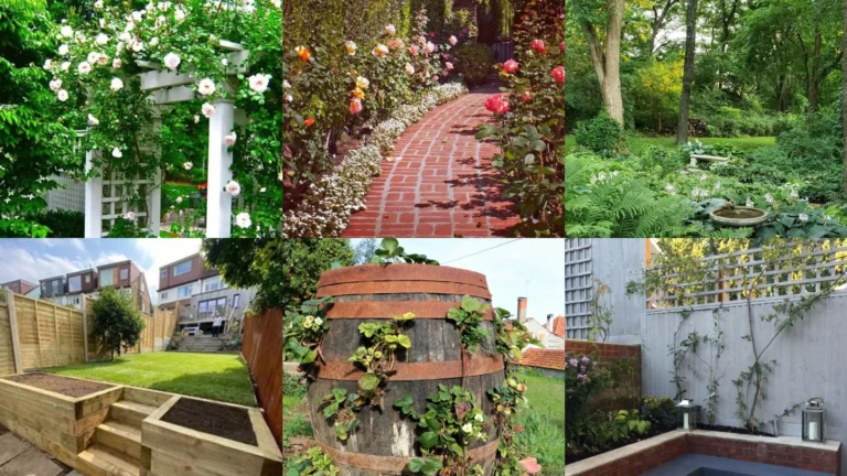 19+ Stunning Rose Garden Ideas That Bloom All Season