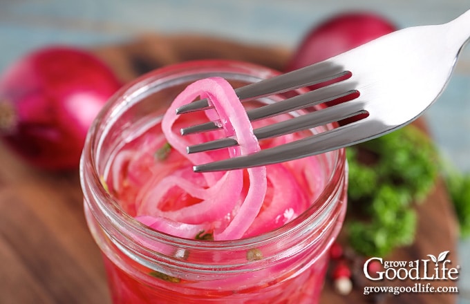 pickled red onion slices layered in a jar