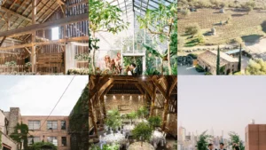 19+ Stunning Wedding Venue Ideas That Steal the Show